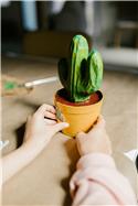 Veranstaltungsbild Pappmaschee 1